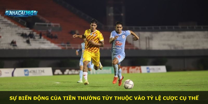 Sự biến động của tiền thưởng tùy thuộc vào tỷ lệ cược cụ thể