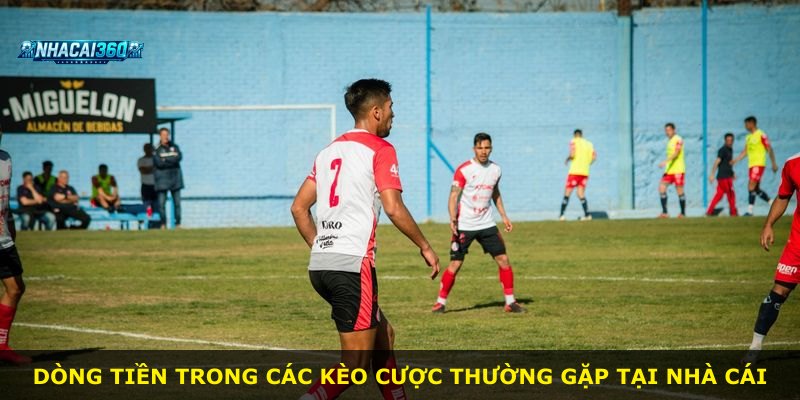 Dòng tiền trong các kèo cược thường gặp tại nhà cái